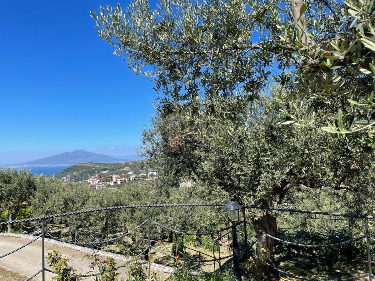 Loren House, Relaxing Location With Seaview Massa Lubrense Esterno foto