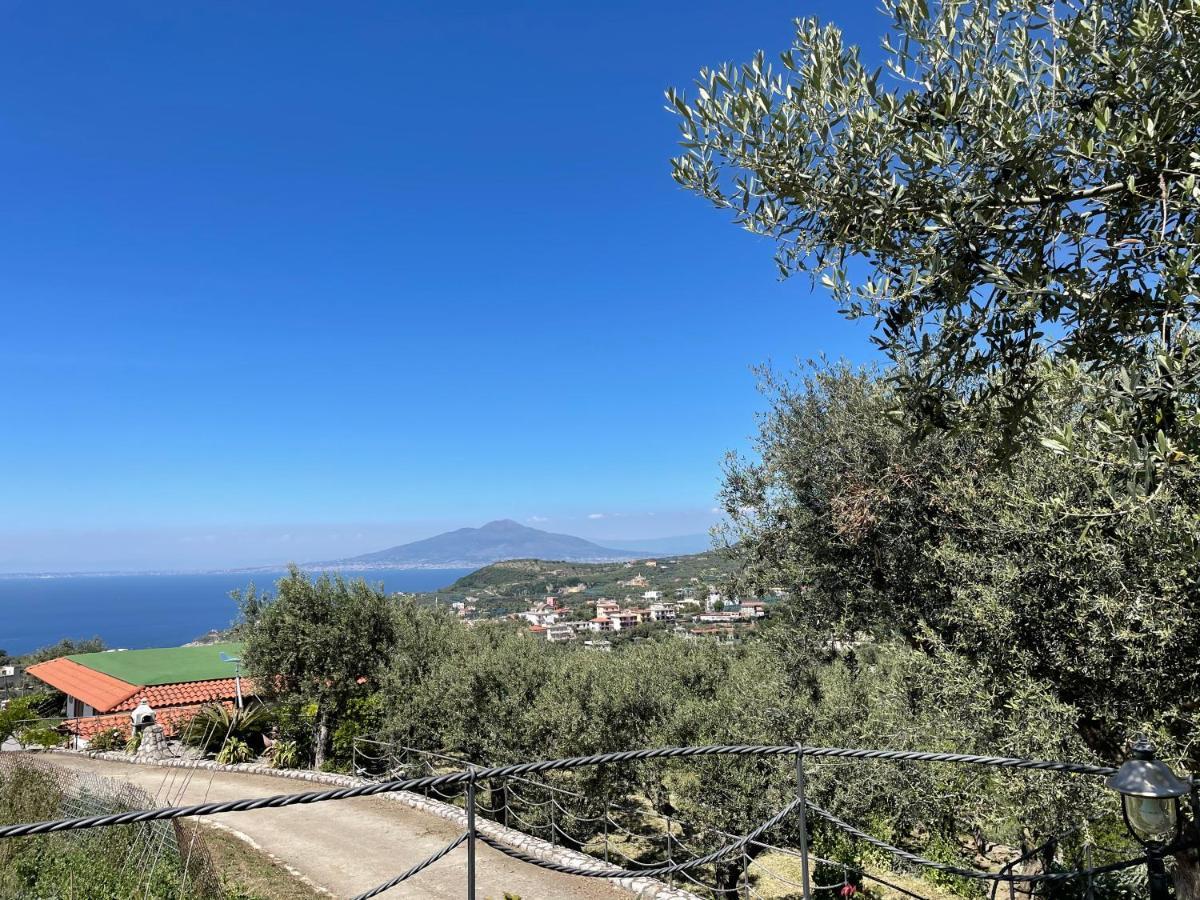 Loren House, Relaxing Location With Seaview Massa Lubrense Esterno foto