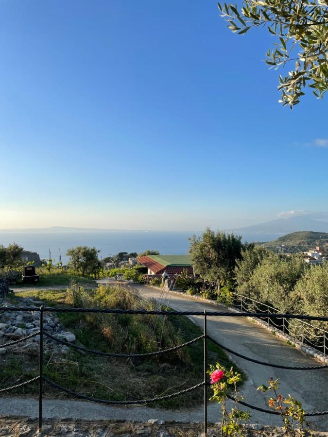 Loren House, Relaxing Location With Seaview Massa Lubrense Esterno foto